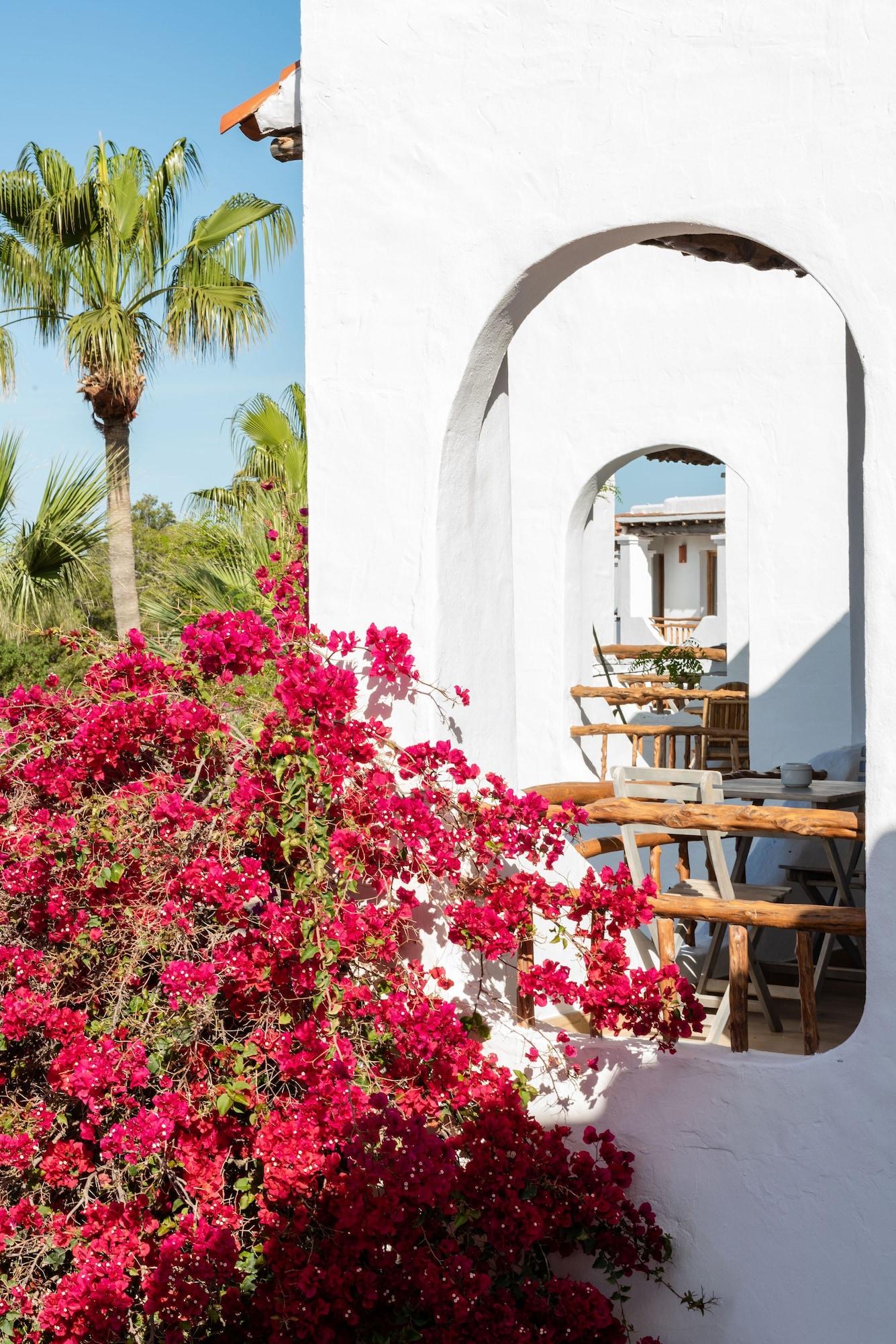 Hotel Petunia Ibiza (adults Only) Sant Josep de sa Talaia
