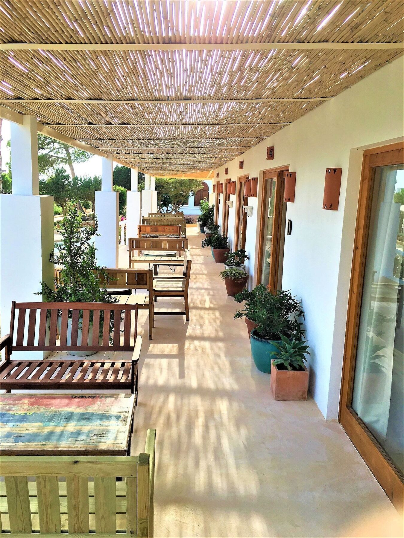 Petunia Ibiza (adults Only) Hotel Sant Josep de sa Talaia