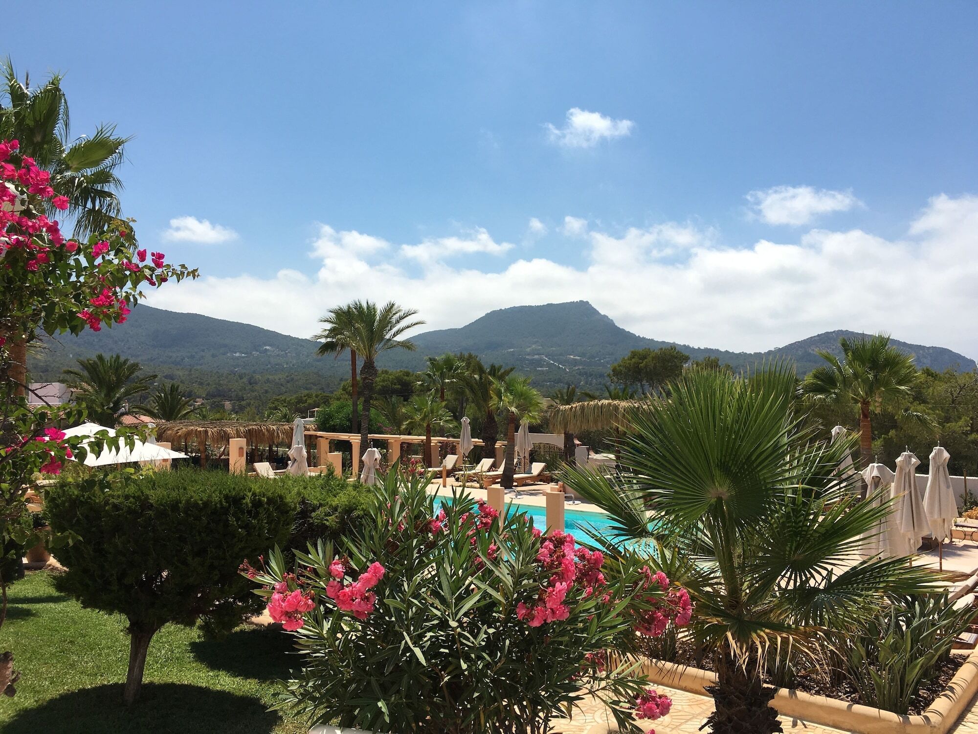 Hotel Petunia Ibiza (adults Only) 4*
