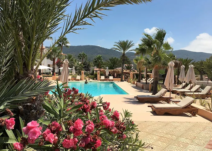 Petunia Ibiza