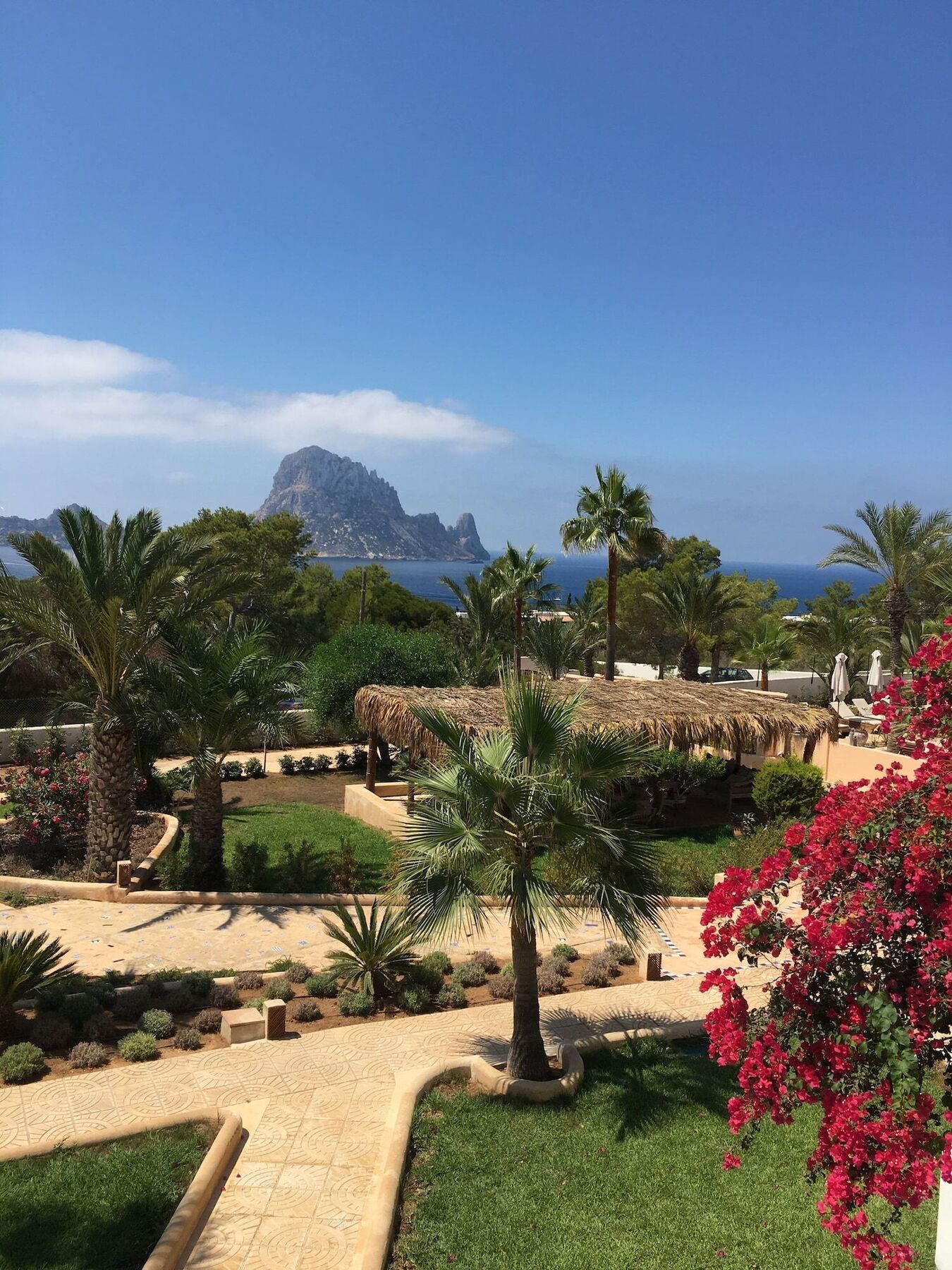 Petunia Ibiza Hotel