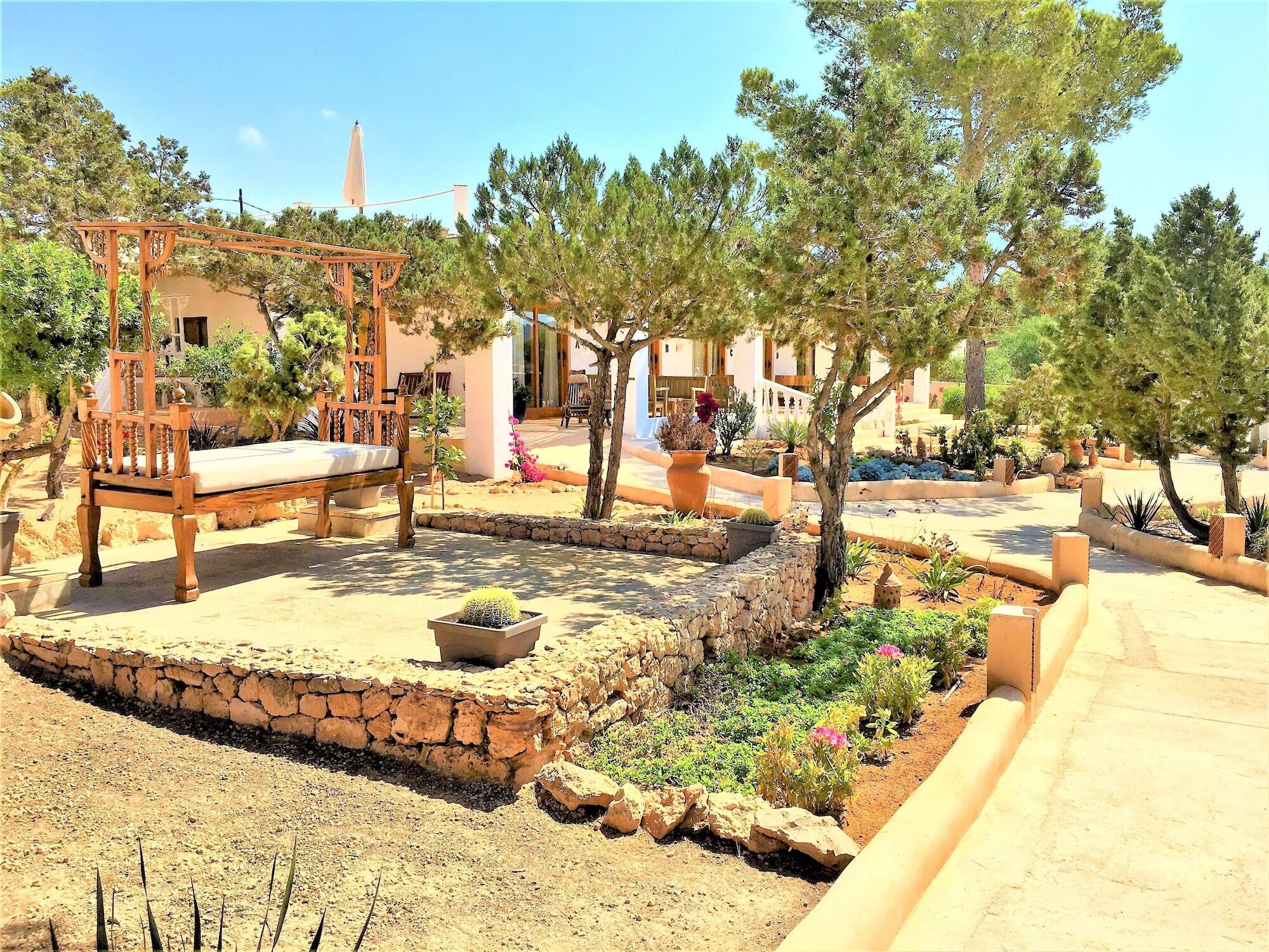 Petunia Ibiza